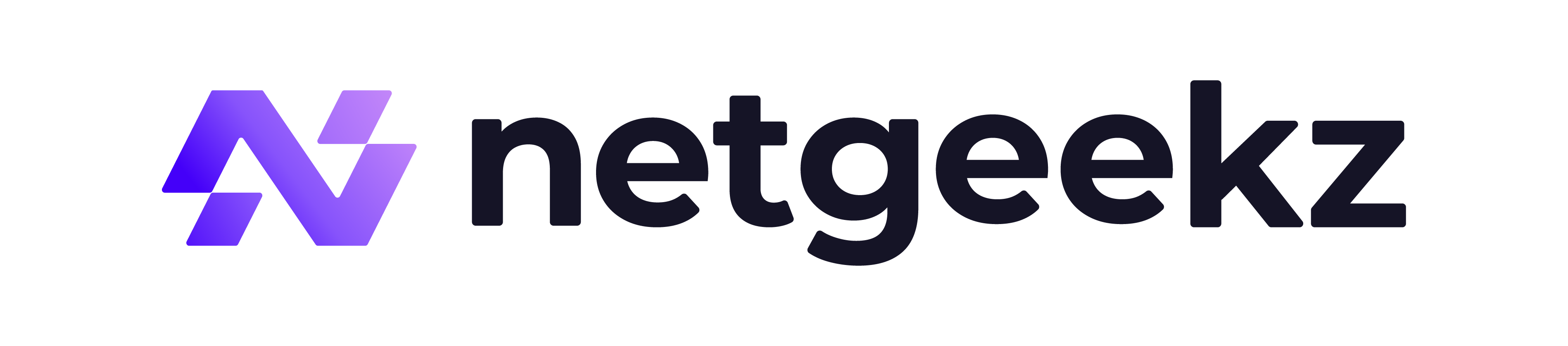 Netgeekz Logo